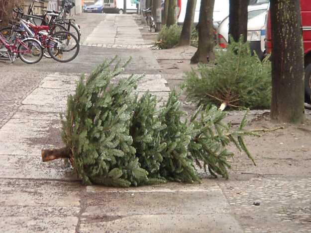 Weihnachtsbaum auf dem Fußweg