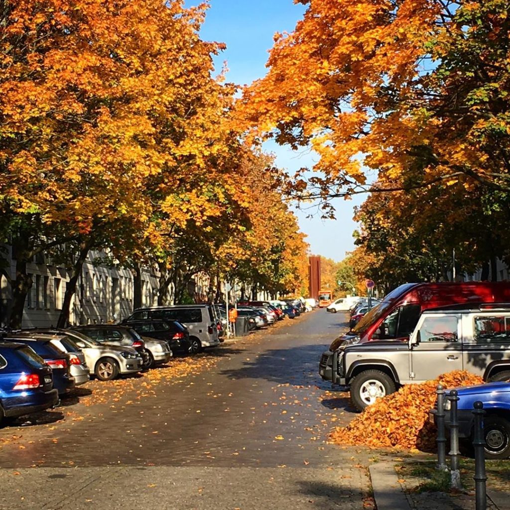 Herbst Strelitzer Strasse Berlin
