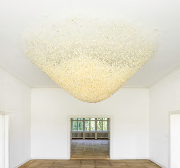 Installationsansicht Christiane Löhr – Ordnung der Wildnis, Haus am Waldsee, Berlin, 2021