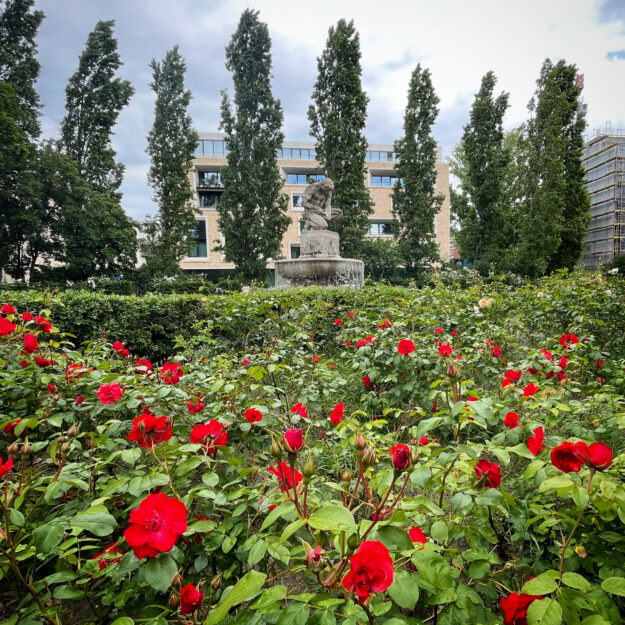 Pappelplatz Berlin Mitte