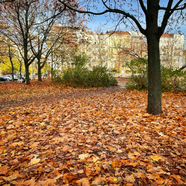 Herbst am Arkonaplatz, Berlin Mitte